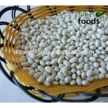 Chinese Navy Type Dry White Beans